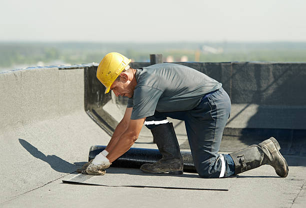Best Residential Insulation in East Grand Forks, MN
